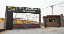 Arecas 1 - Bingerville